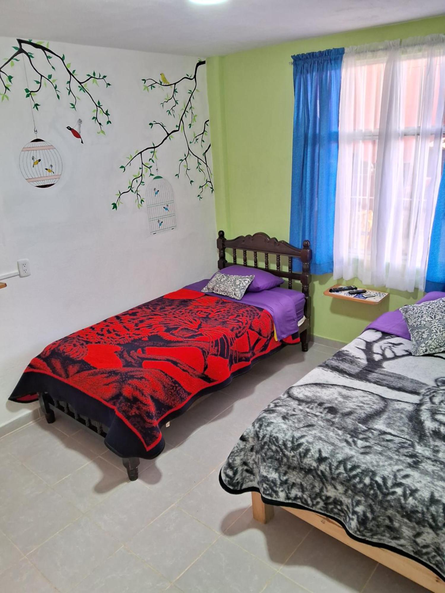 Mixtlaxotla Zacatlan Tours Apartment Bagian luar foto